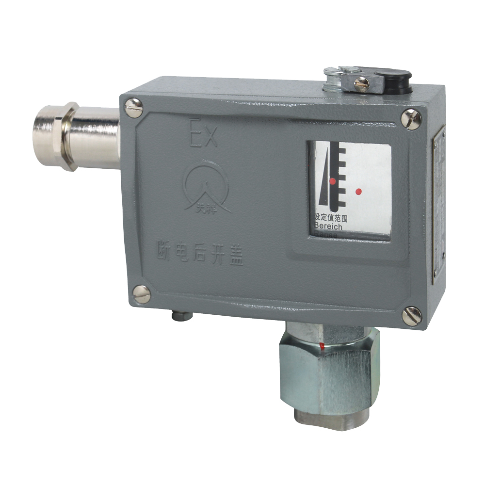 501/7D防爆壓力開(kāi)關(guān) 501/7D防爆壓力開(kāi)關(guān)